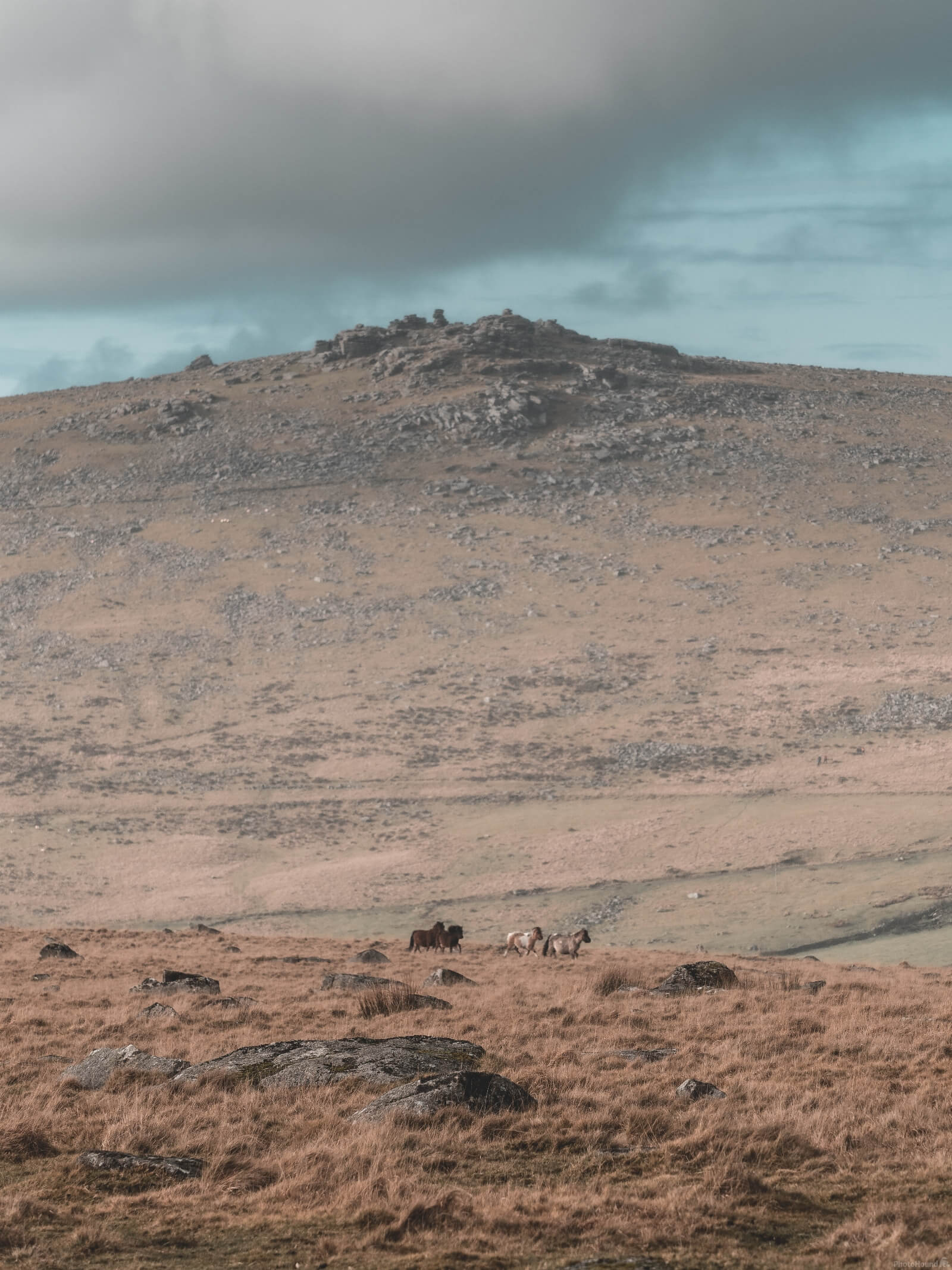 Image of Great Mis Tor by Matt Holland