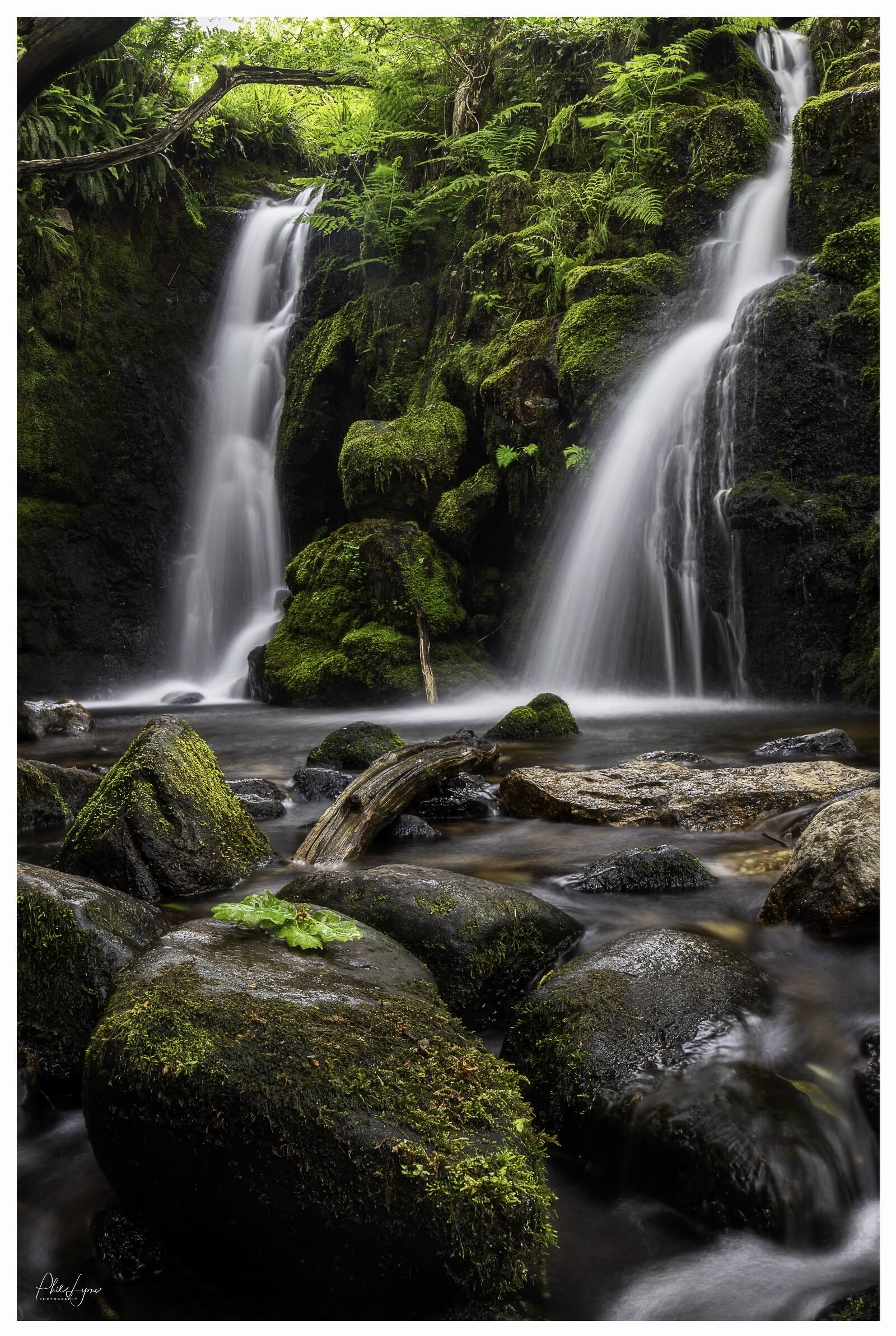 Image of Venford Falls by Phil Lyons