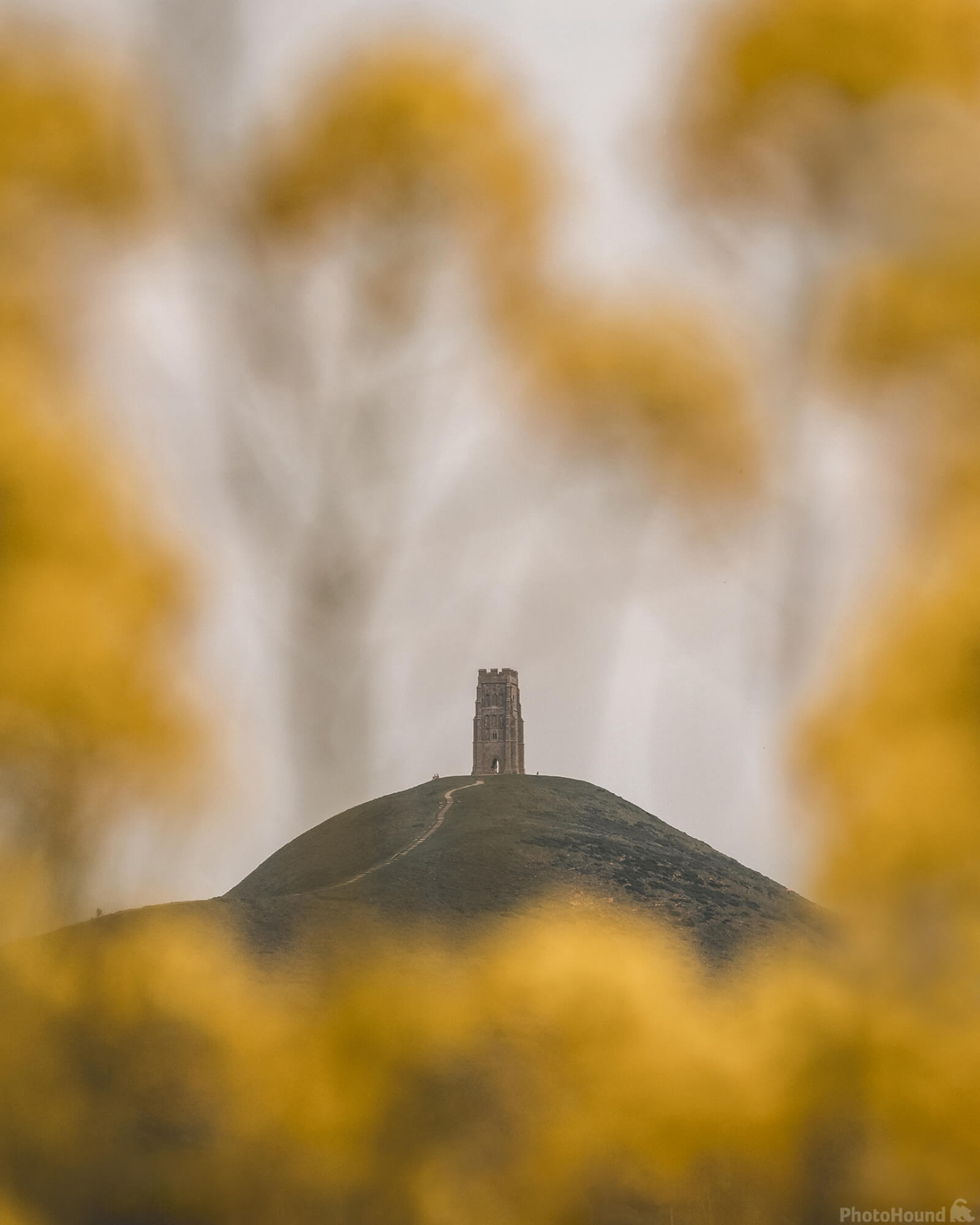 Image of Glastonbury Tor from the river Brue by Matt Holland