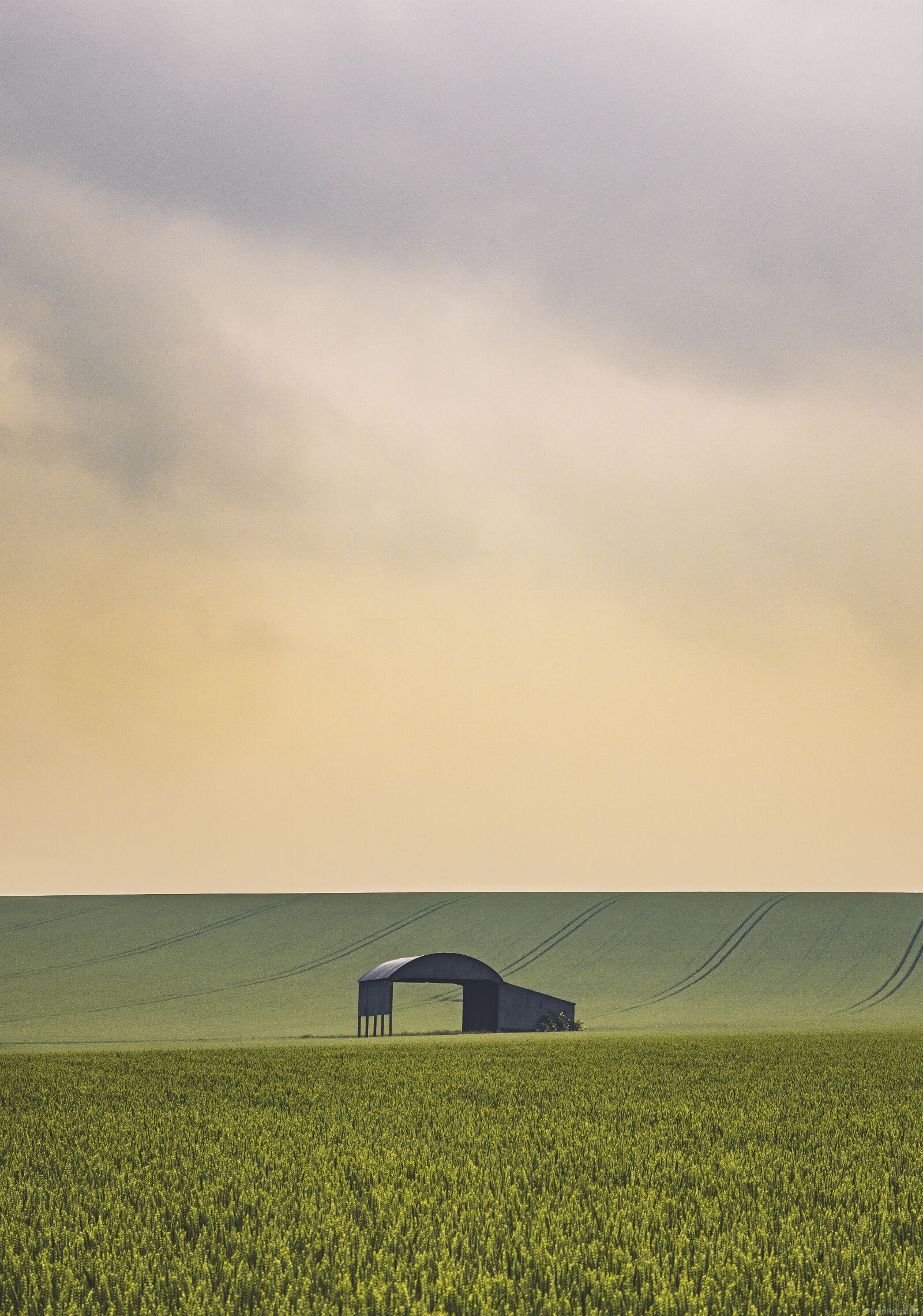 Image of   The Barn at Sixpenny Handley by Matt Holland