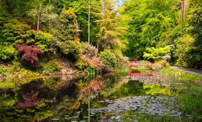 Portmeirion Japanese lake