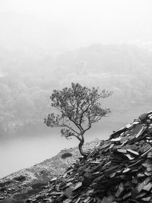Looking over Dolbadarn Castle