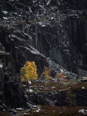 images of North Wales - Dinowig Slate Quarry