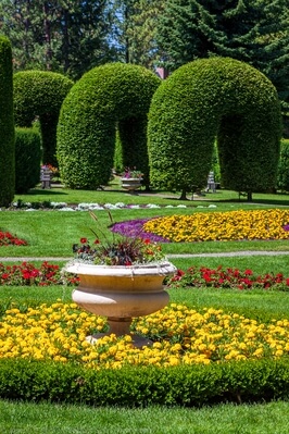 Picture of Duncan Garden - Duncan Garden