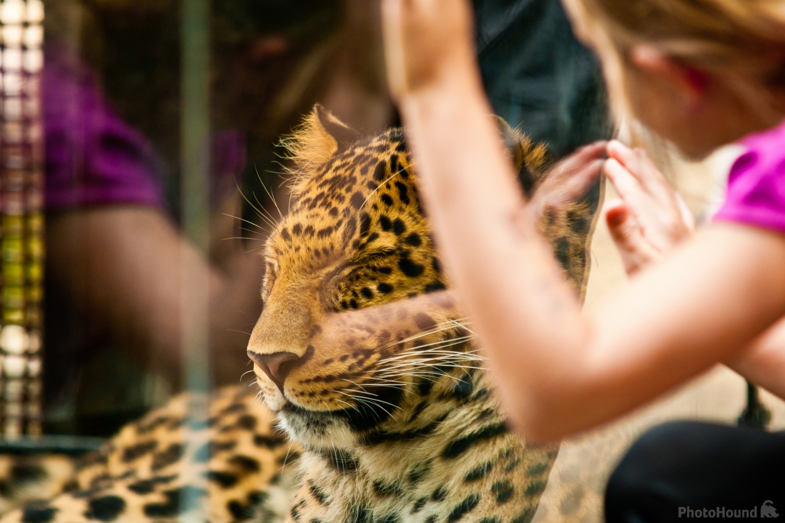 Image of Liberec ZOO by VOJTa Herout
