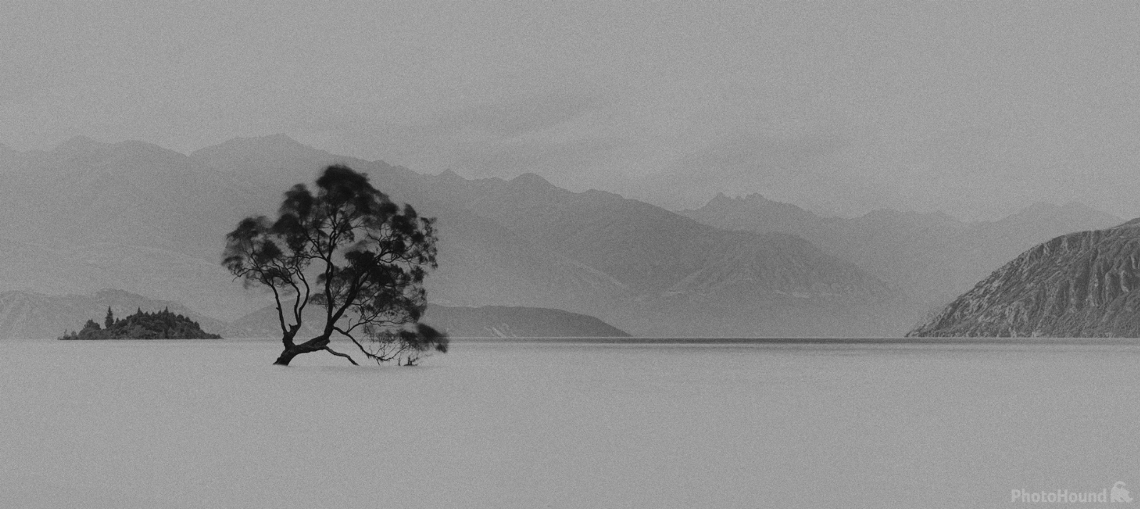 Image of Lone Tree of Wanaka by Paul James