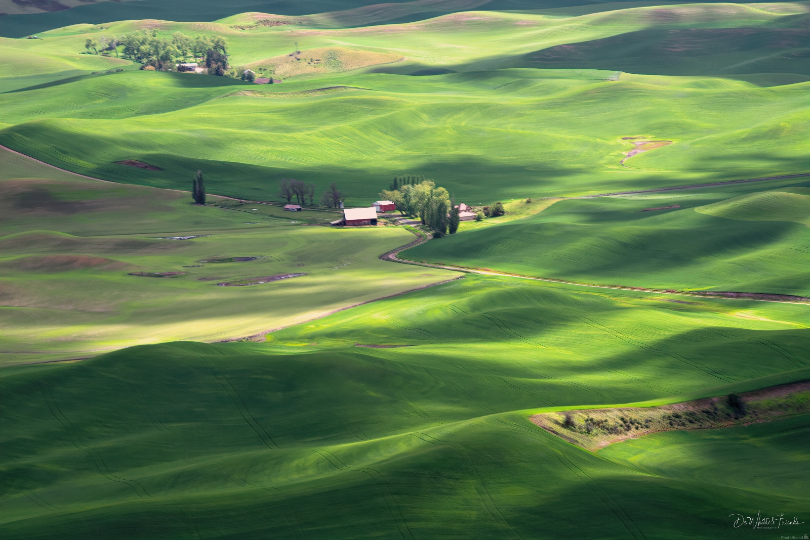 Image of South Steptoe Butte Viewpoint by Dale DeWhitt
