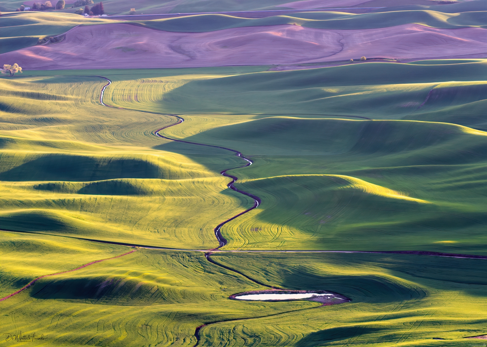 Image of South Steptoe Butte Viewpoint by Dale DeWhitt