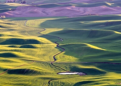 photos of Palouse - South Steptoe Butte Viewpoint