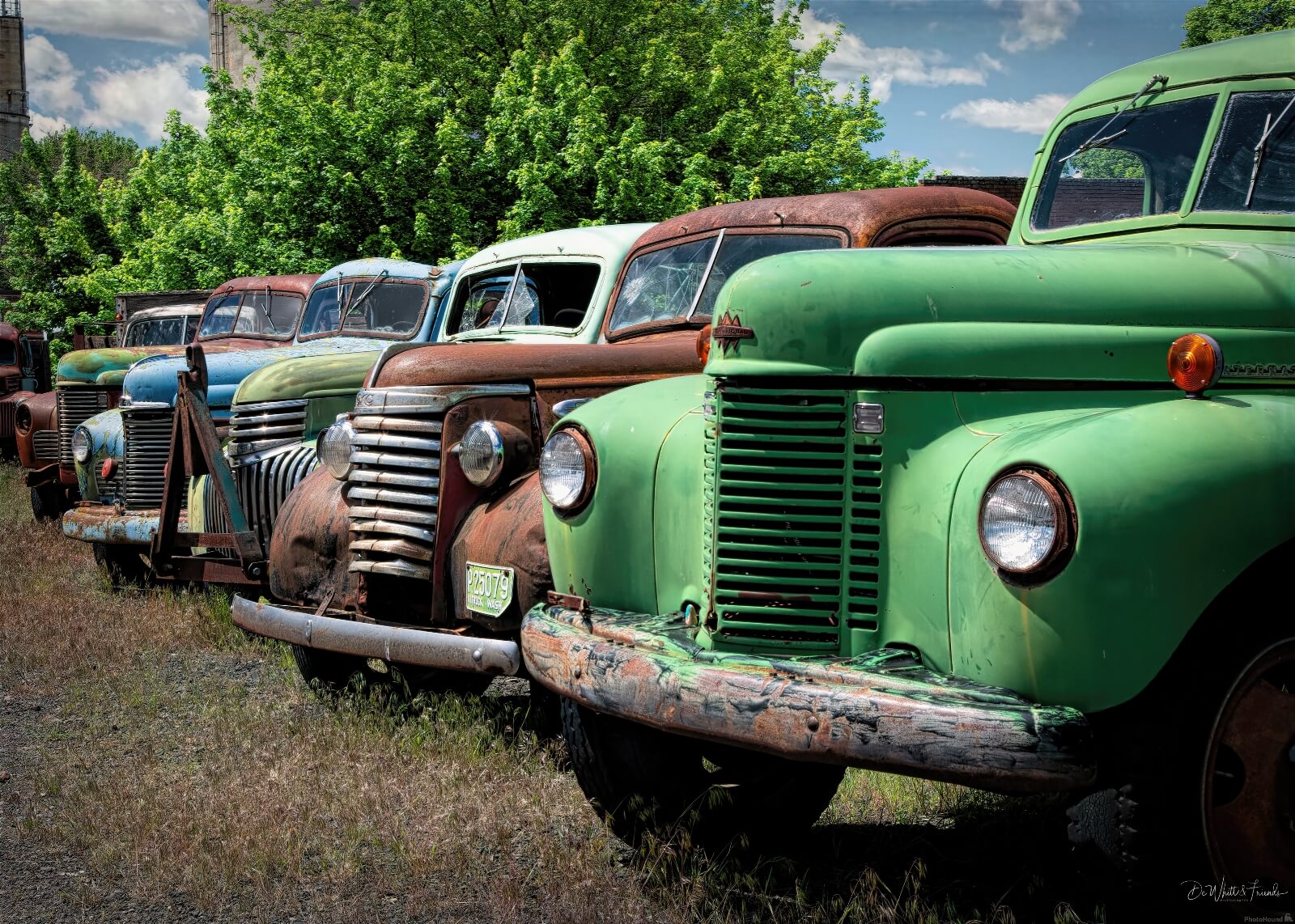 Image of Dave\'s Old Trucks by Dale DeWhitt