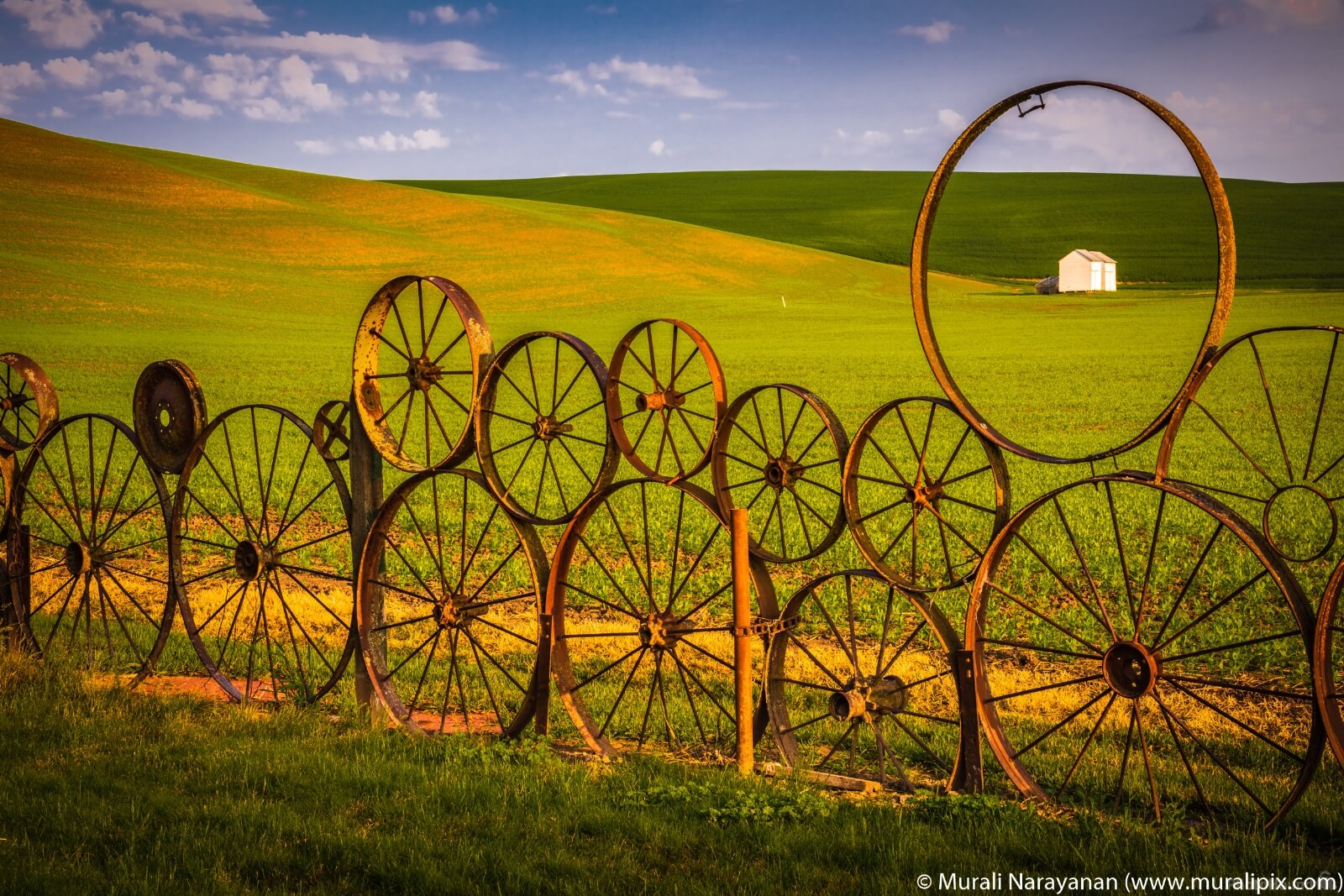 Image of Dahmen Barn and Wagon Wheel Fence by Murali Narayanan