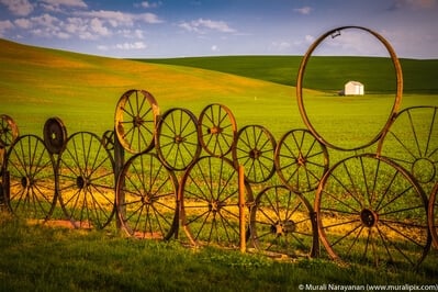 pictures of Palouse - Dahmen Barn and Wagon Wheel Fence