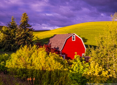 photo locations in Whitman County - Colton Red Barn