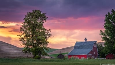 photography spots in Whitman County - Colfax Red Barn