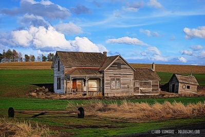 One of my favorite shots of the old Weber homestead, taken one April afternoon several years ago. The scene changes not only seasonally, but also from year to year as different crops are planted in rotation. This spring (2020), it was surrounded by yellow canola blossoms, providing quite a contrast to the old wood of the house and out building. NOTE: 