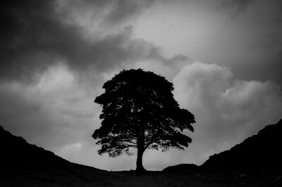 Hadrian's Wall: Sycamore Gap in Black and White on a stormy day
