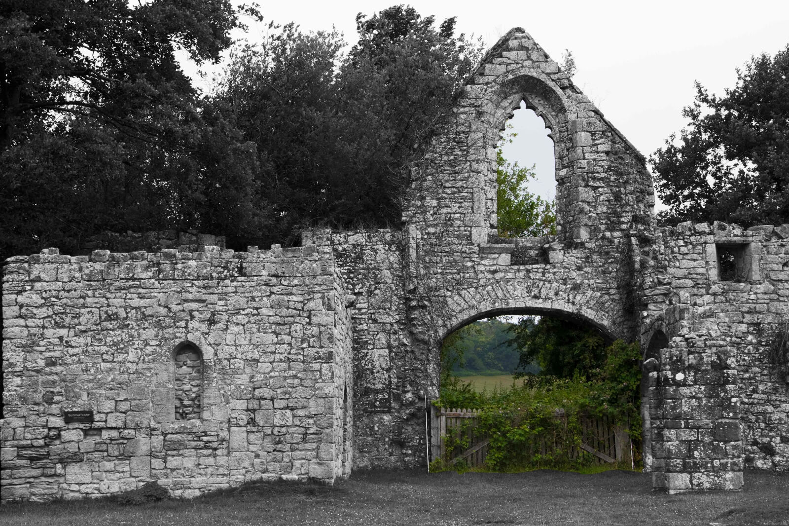 Image of Bayham Abbey by David Marriott