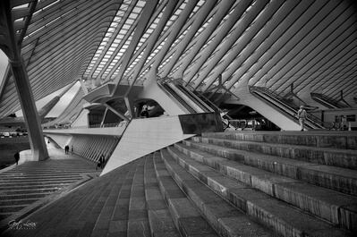 Picture of Liege Guillemins Train Station - Liege Guillemins Train Station