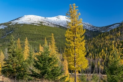 Photo of West of Sherman Pass - West of Sherman Pass