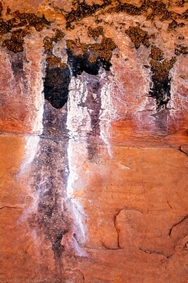 Water seeps on sandstone near Corona Arch