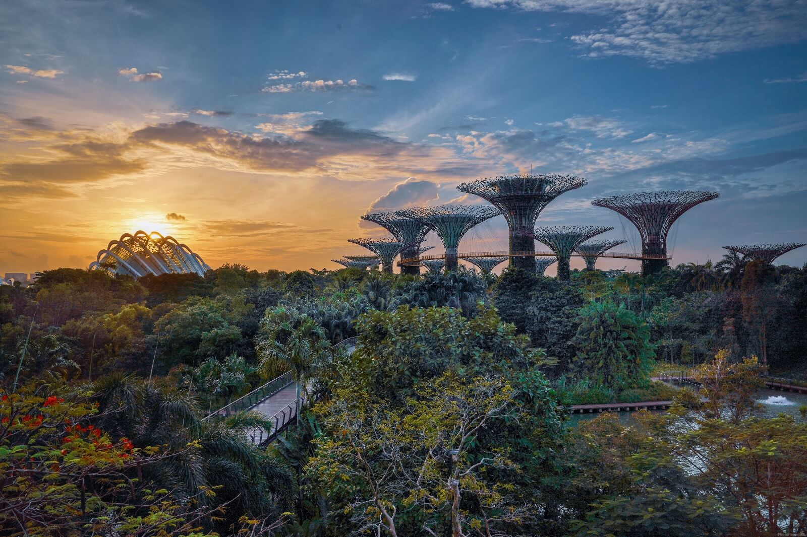 Image of Gardens by the Bay by Oliver Sherratt
