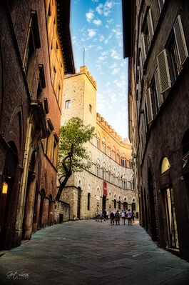 photos of Tuscany - Via da Citta, Siena