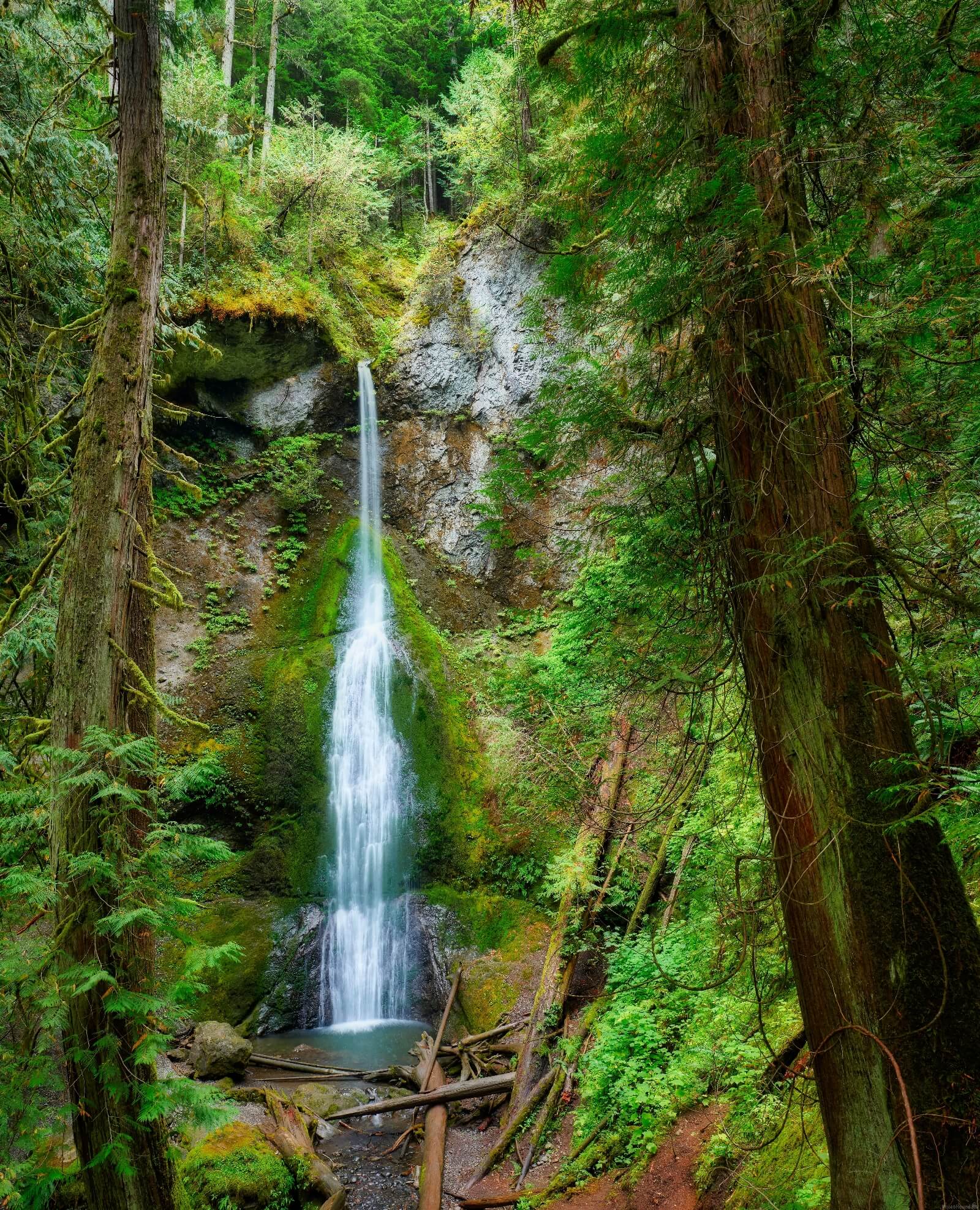 Image of Marymere Falls and Lake Crescent by Rob Bartlett