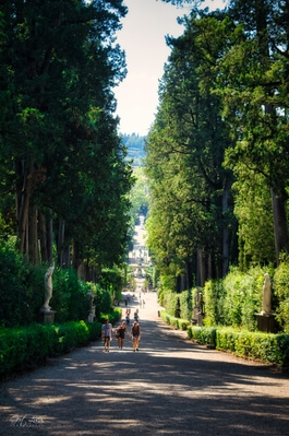 photos of Italy - Boboli Gardens, Firenze