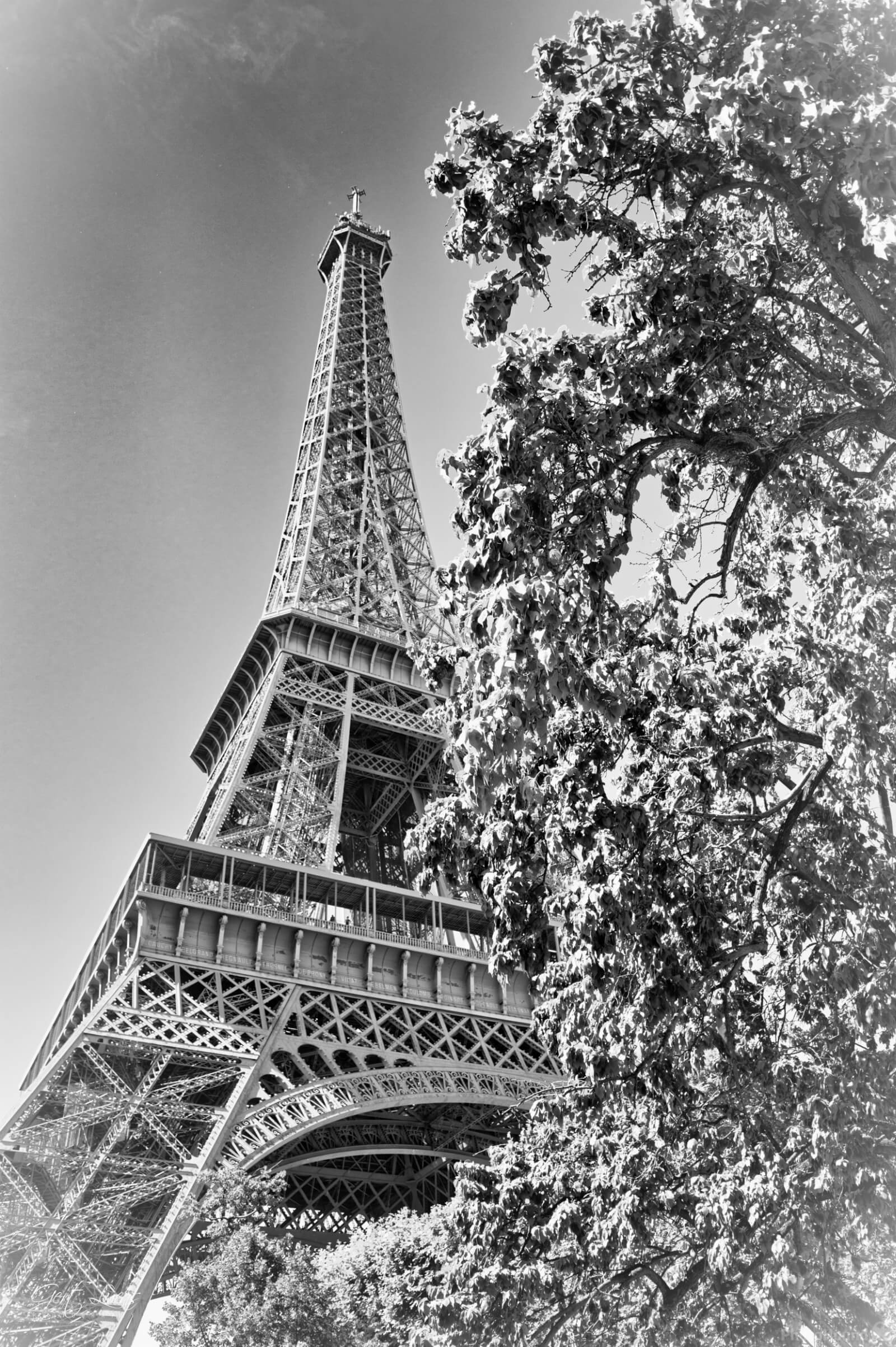 Image of Eiffel Tower, Paris by Gert Lucas