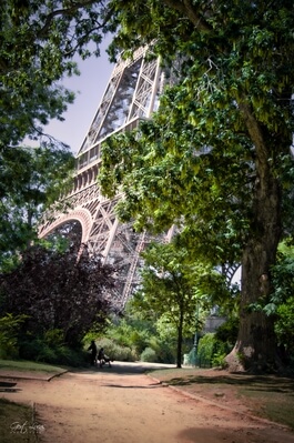Picture of Eiffel Tower, Paris - Eiffel Tower, Paris