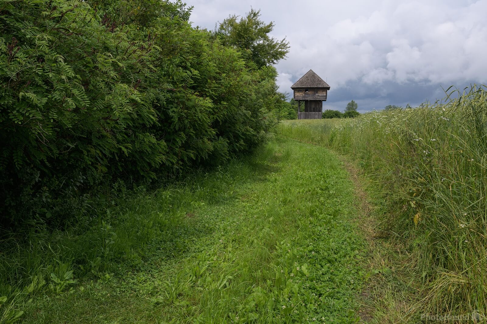 Image of Border Guard\'s Trail at Lonjsko Polje by Luka Esenko