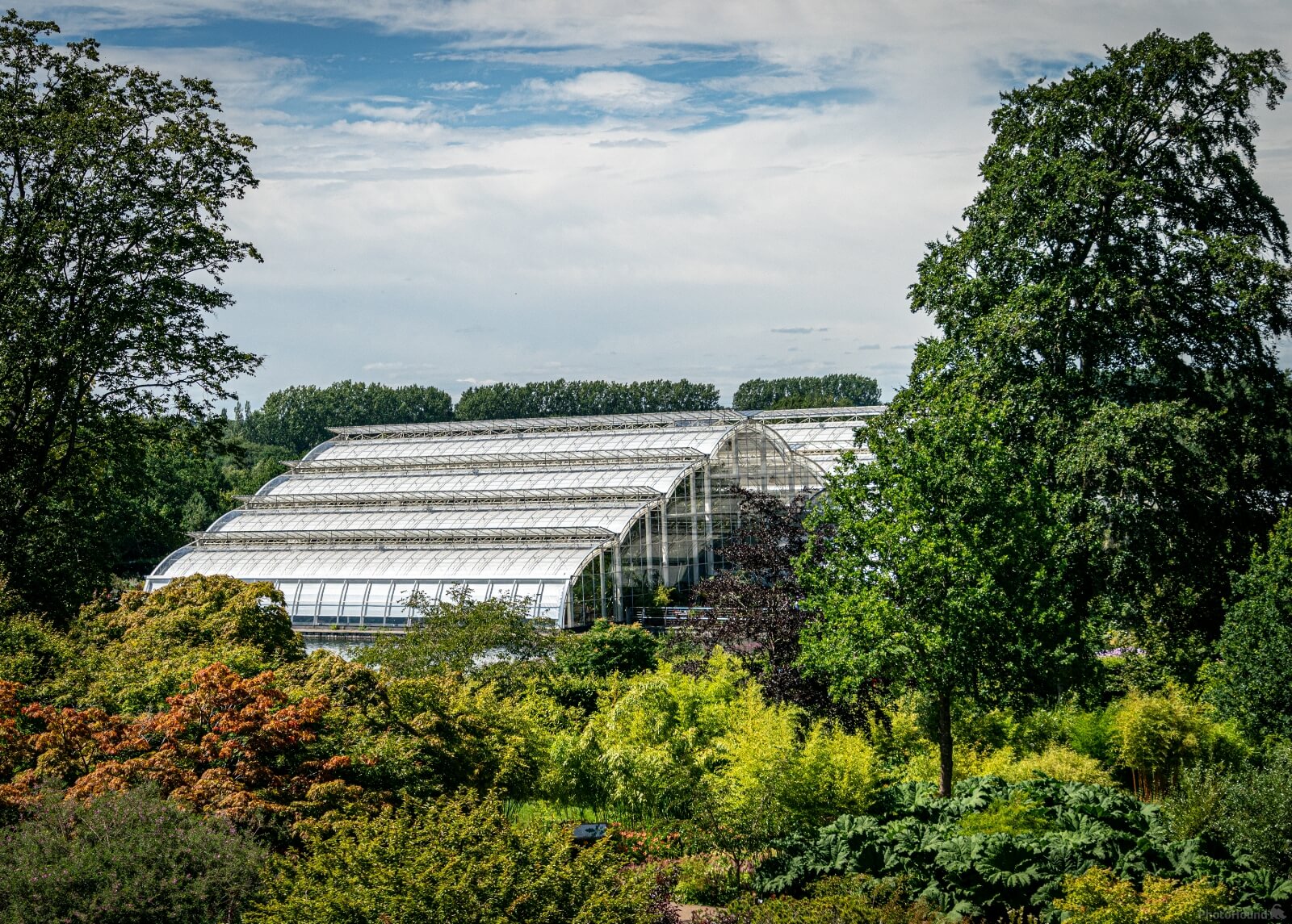 Image of RHS Garden Wisley by Richard Lizzimore