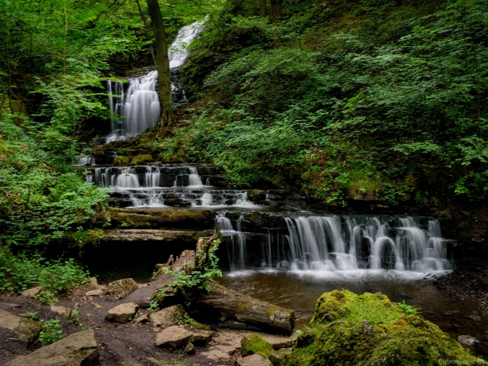 Image of Scaleber Force by Stuart Leach