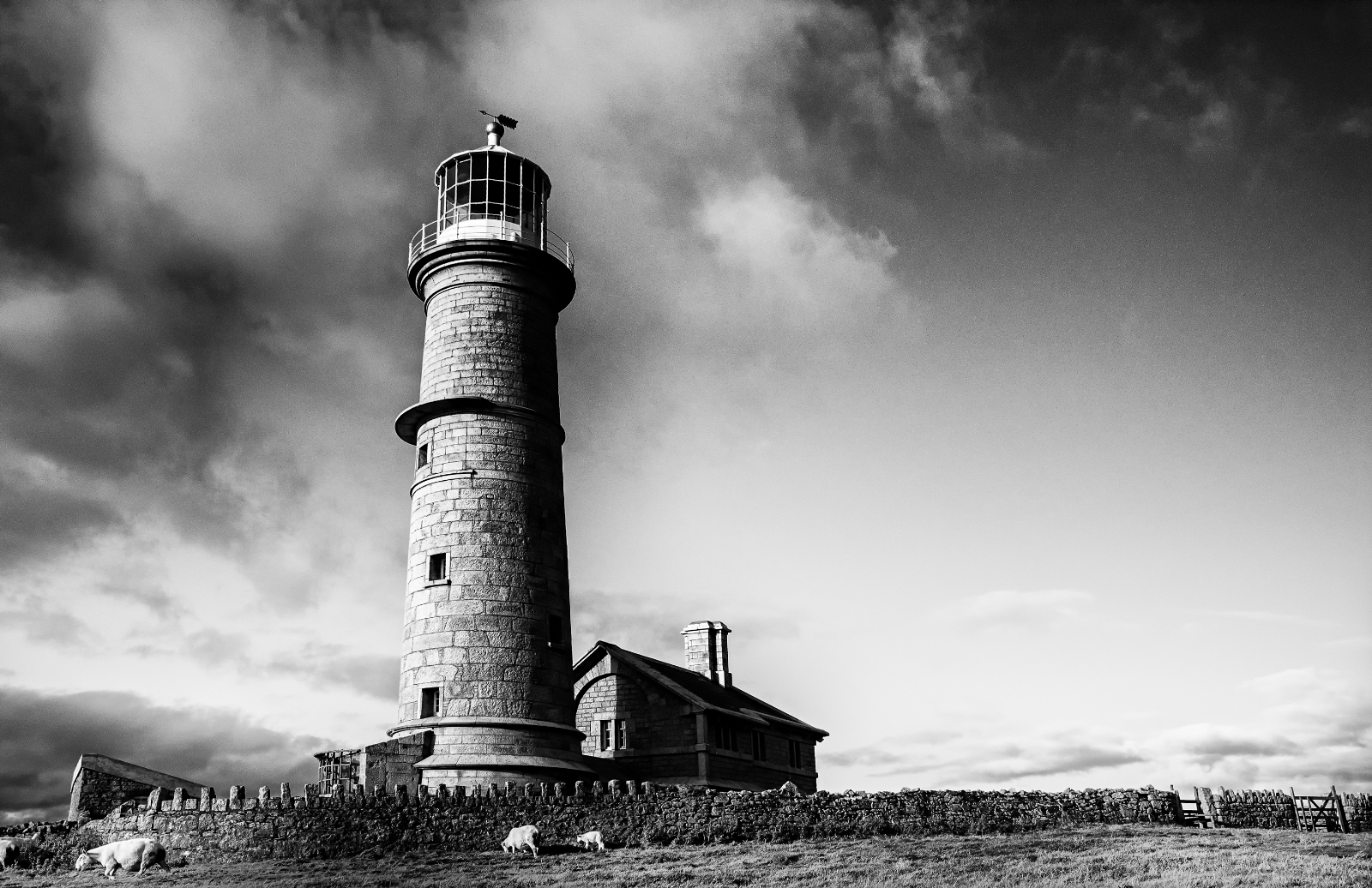 Image of Lundy Island - Lighthouse by Richard Lizzimore