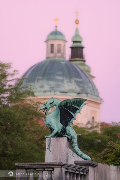 Ljubljana Dragon with the Cathedral
