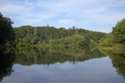 New Jersey photography locations - Turkey Swamp Park