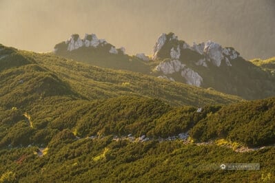 Slovenia photos - Mt Snežnik (Snow Mountain)