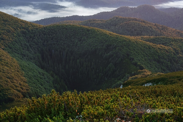 Smrekova draga - a unique natural place with Alpine climate