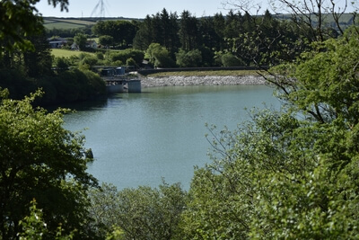 Picture of Wistlandpound Reservoir - Wistlandpound Reservoir