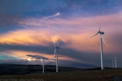 pictures of the United States - Wild Horse Wind Farm
