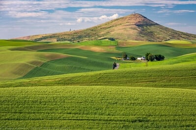 Palouse photography locations - Crumbaker Road Viewpoint