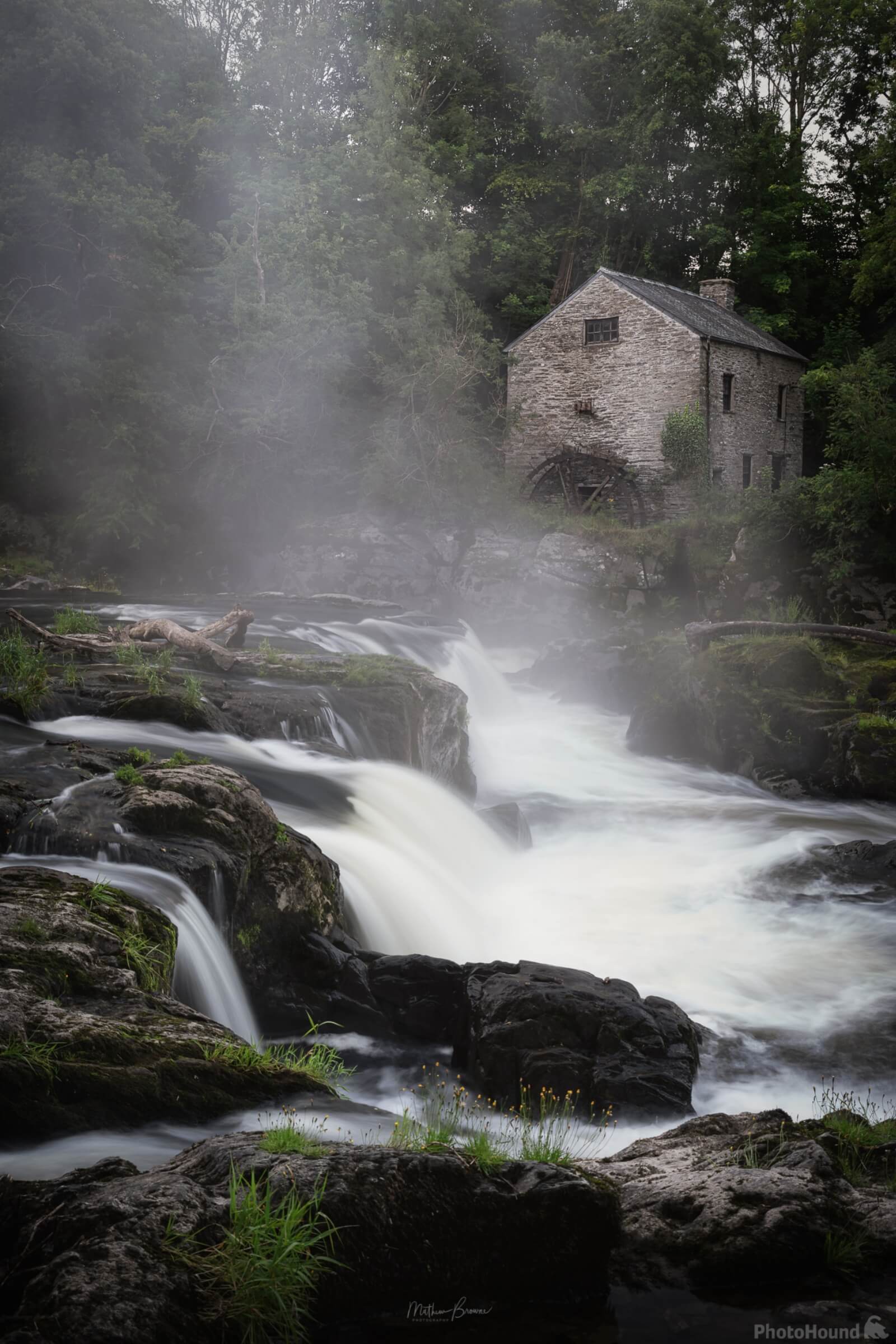 Image of Cenarth Falls by Mathew Browne