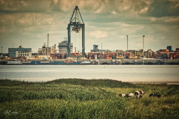 View over the river bank towards the Antwerp harbour