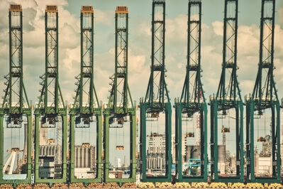 Cranes line-up at the container terminal across the river;