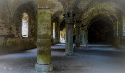 Image of Villers La Ville Abbey ruins - Villers La Ville Abbey ruins
