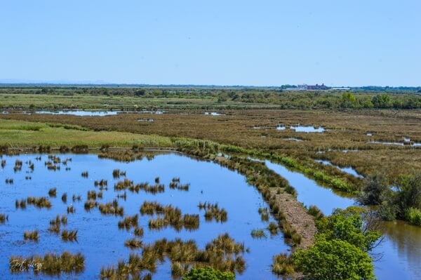 Camargue Marshlands seen from the top of the tower