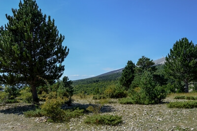 France images - Mt Ventoux from the east