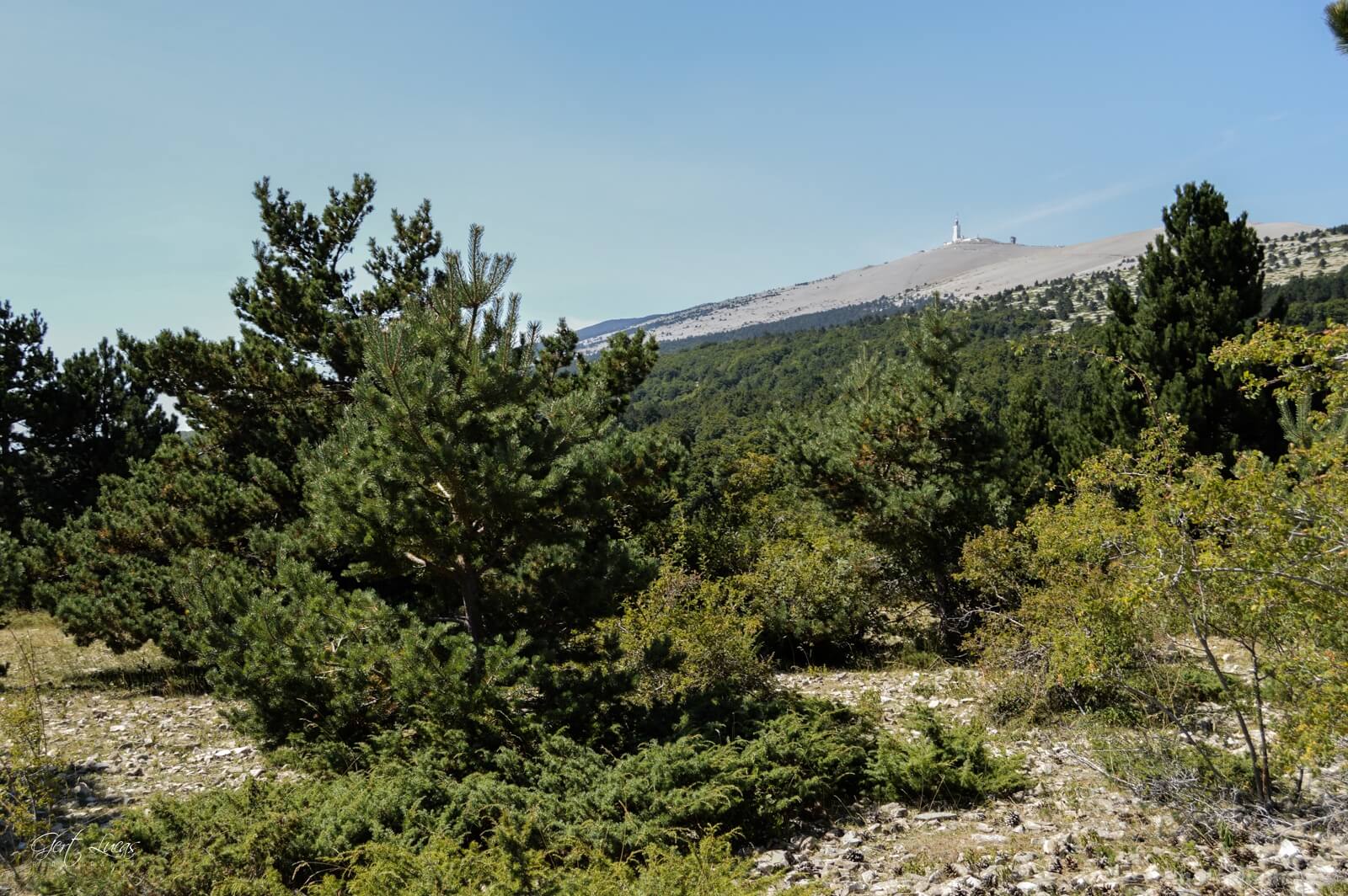 Image of Mt Ventoux from the east by Gert Lucas