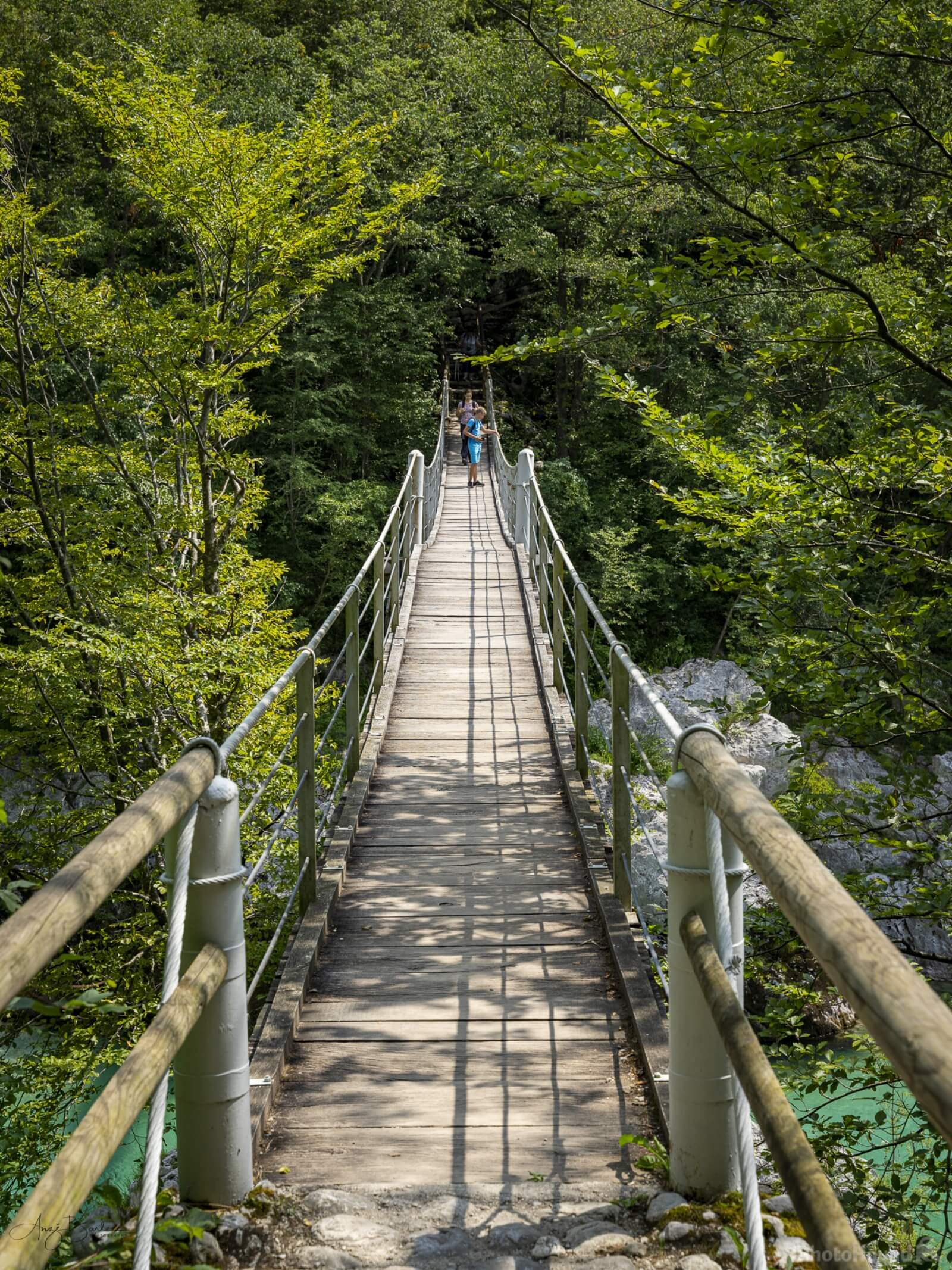 Image of Soča River Footbridge View  by Anže Barle