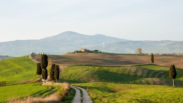 The road from Pienza towards Terrapile farmhouse, made famous by a movie Gladiator.